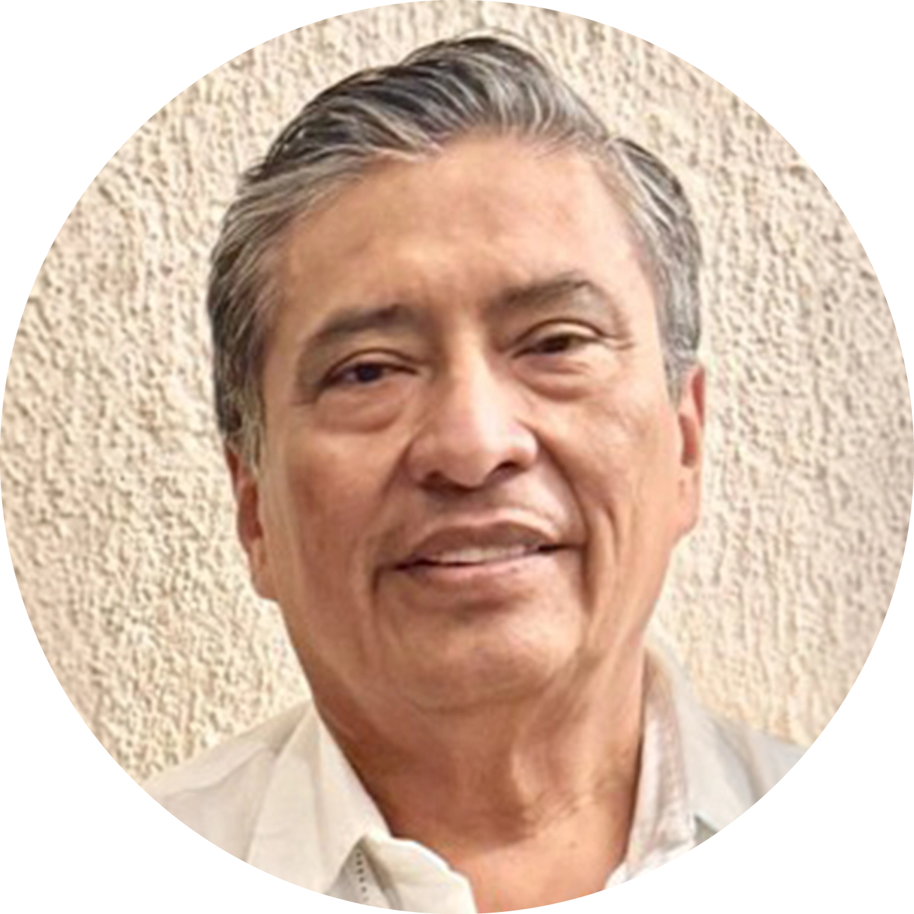 Perfil temporal del docente 4